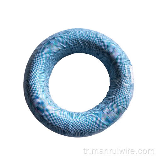 Soğuk Çizilmiş 316L Paslanmaz Çelik Yay Teli